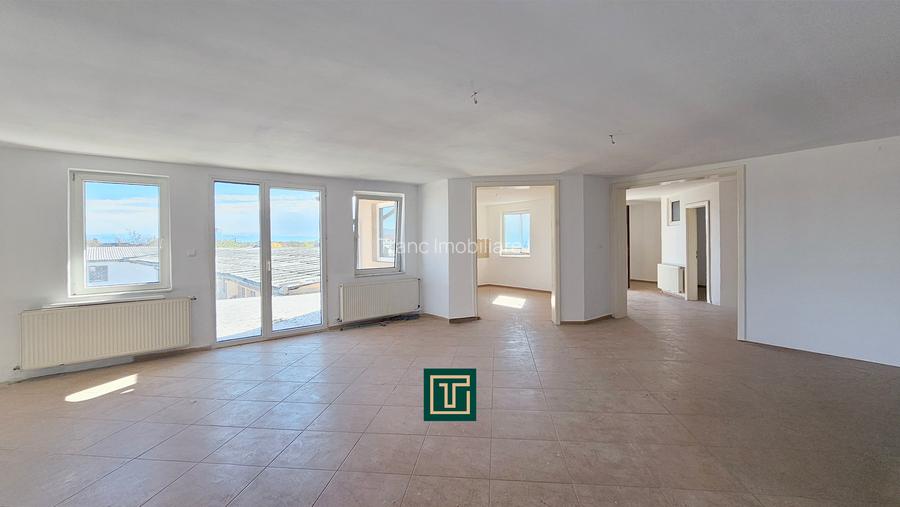 Proprietate multifunctionala - teren generos, cladire si hala in Lugoj - 9