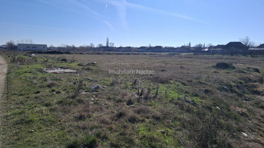 Doua parcele de teren intravilan 5562 mp pentru hala producție, atelier, depozit - 3