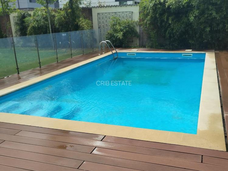 Vila cu piscina Iancu Nicolae Zoo Baneasa 6 dormitoare - 2