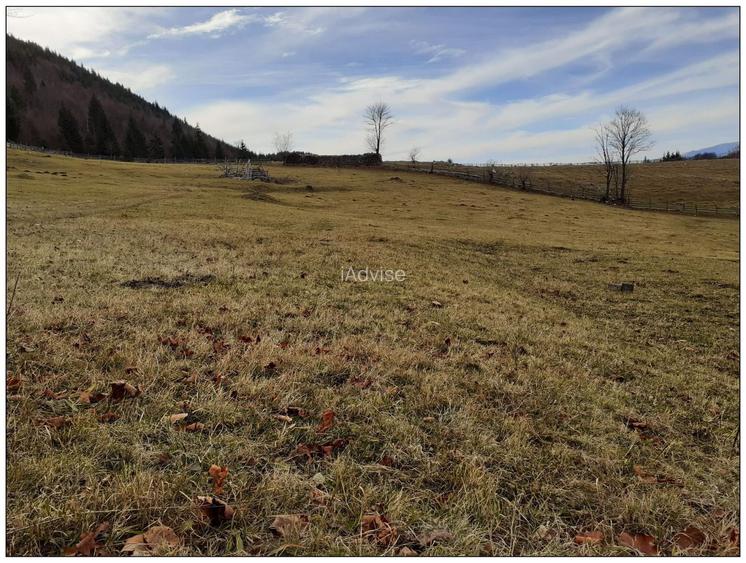 Teren Cu Priveliste Panoramica Si Acces Din Drumul Principal - 4