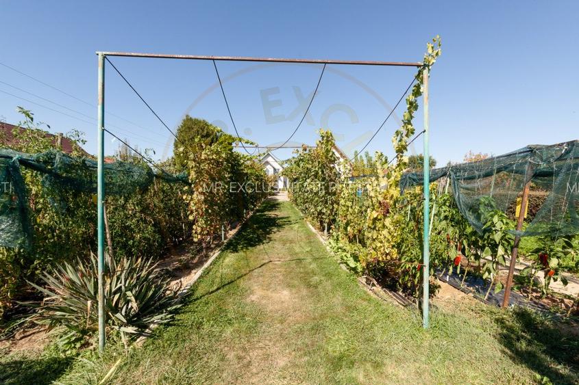 Casa visurilor cu livada roditoare si gradina amenajata - 3