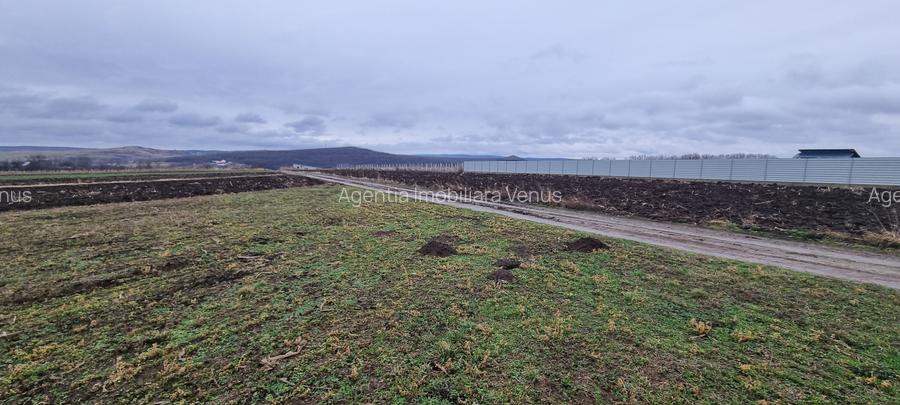 Loturi de teren intravilan la Tulbureni - 4