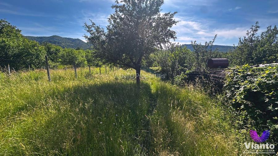 TEREN INTRAVILAN 728MP-TOATE UTILITATILE -FANTANELE - 2