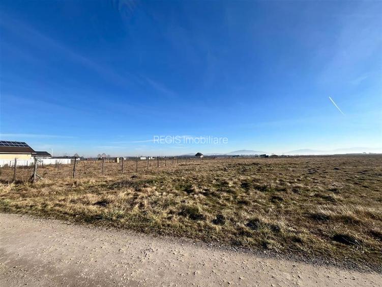 Teren intravilan, HARMAN 1000MP - 2