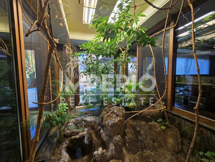 Casa individuala de vanzare in Andrei Muresanu – proprietate premium cu piscina - 5