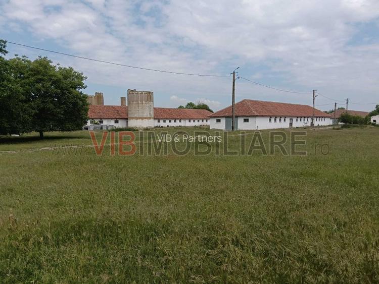 Ferma complet utilată – 30 ha teren comasat cu 11.500mp grajduri renovate Timiș - 4