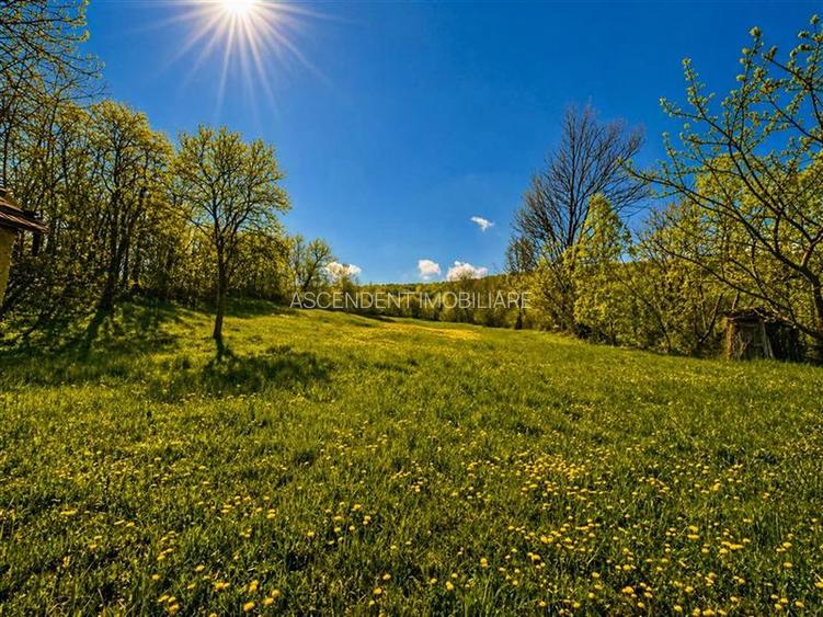 Domeniu de 3.400 mp cu traditionala casa, Suveica, Acatari Mures - 12