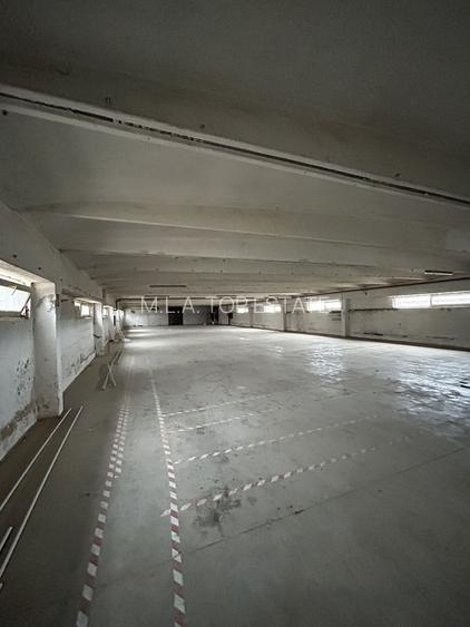 Hala Industriala Gradiste De Inchiriat - 6