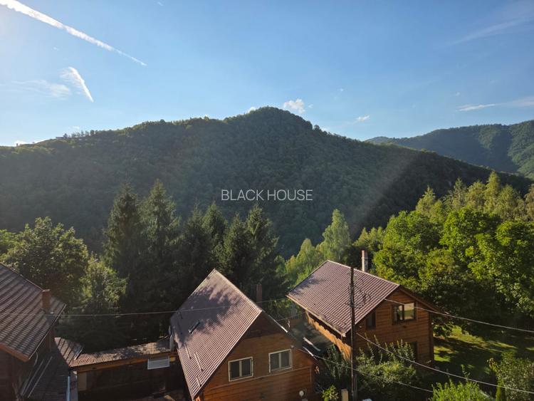 Cabana de vanzare, 200 utili, 600 teren, locatie de Vis -Muntele Rece - 3