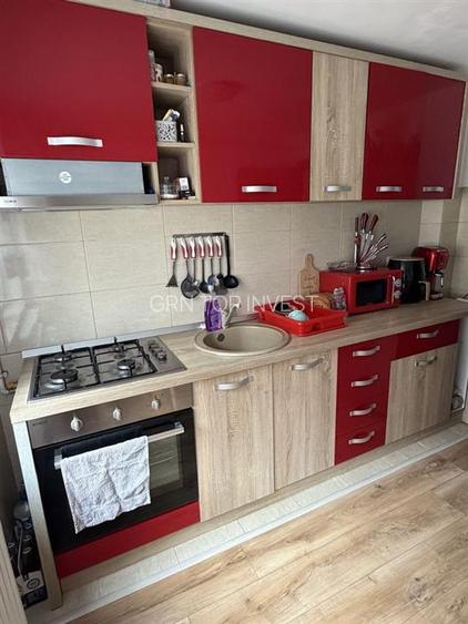 Apartament decomandat cu 2 camere in Cartierul Arhitectilor - 5