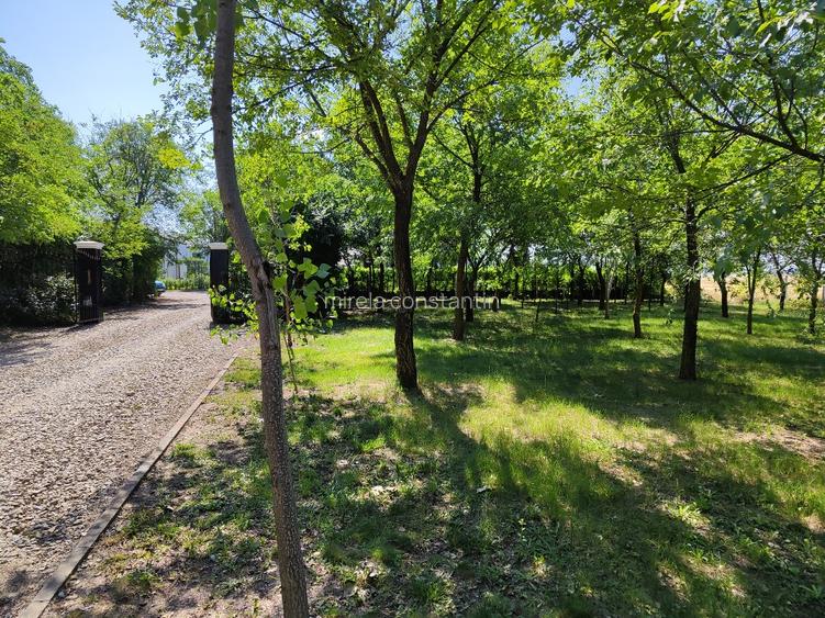 Loturi constructie intre 80-95 Euro/mp - Afumati, Strada Padurii - 5