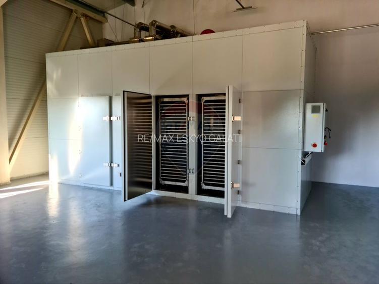 Teren agricol 13,1 ha + Hală 700 mp + Utilaje Agricole - Piscu, Galati - 16