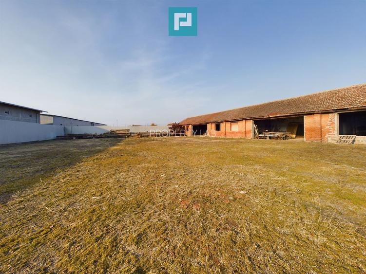 Teren și hale pe Calea Aradului din Periam - 7