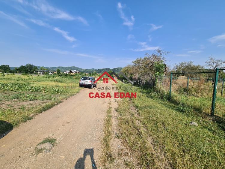 Teren intravilan in Campina, 7500mp--35e - 6