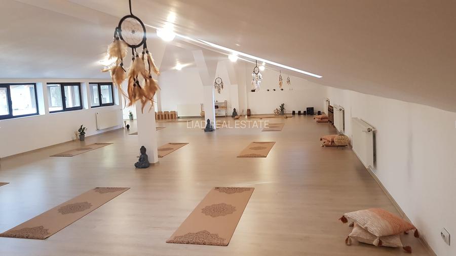 Studio sau birouri mansarda Universitate - strada Sfintilor 6 - 16