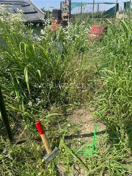 Vanzare teren localitatea Magurele - 4