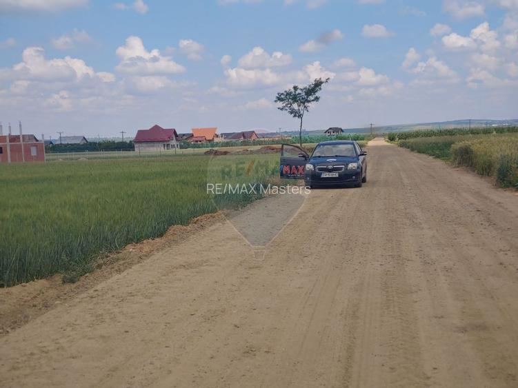 Teren intravilan 6,600mp Dumbraveni / Strada Principala spre Veresti - 2