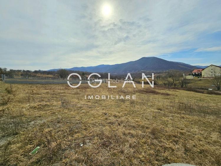 Teren cu PUZ si utilitati, Cisnadie, COMISION 0% - 3