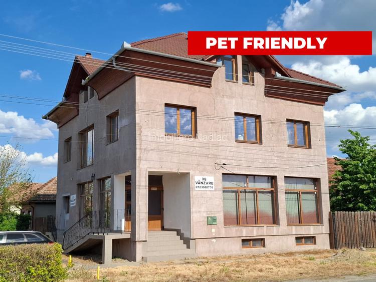 VILA S+P+E+M  cu SPATIU COMERCIAL  central in Nadlac - 2