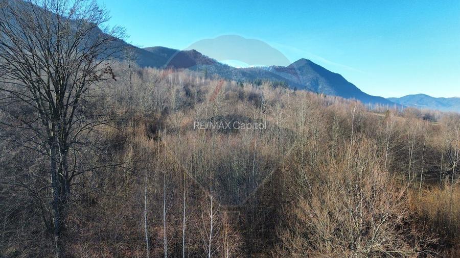 Casă / Vilă cu 7 camere   în zona Bran-Tohanita - 41