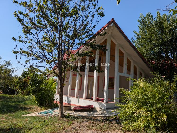 Ocazie - Casa P+M 196 mpt 5 camere 2 bai 1200 mp teren, libera Horlesti (Rediu) - 3