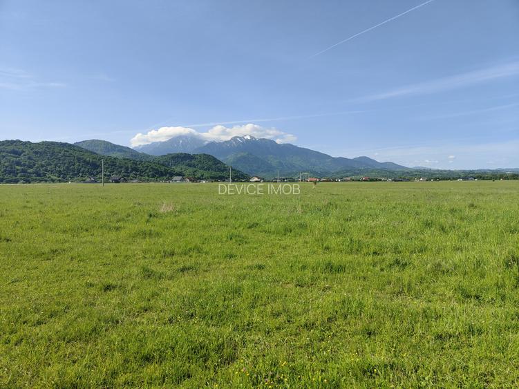 Teren Intravilan  cu destinatie casa vacanta -Glajarie - 5