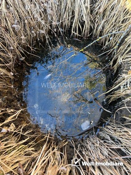 Teren extravilan in Saliste - 3