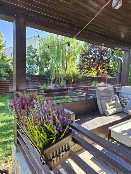 VANZARE 4 CAMERE | 550 MP TEREN | CORBEANCA - 45