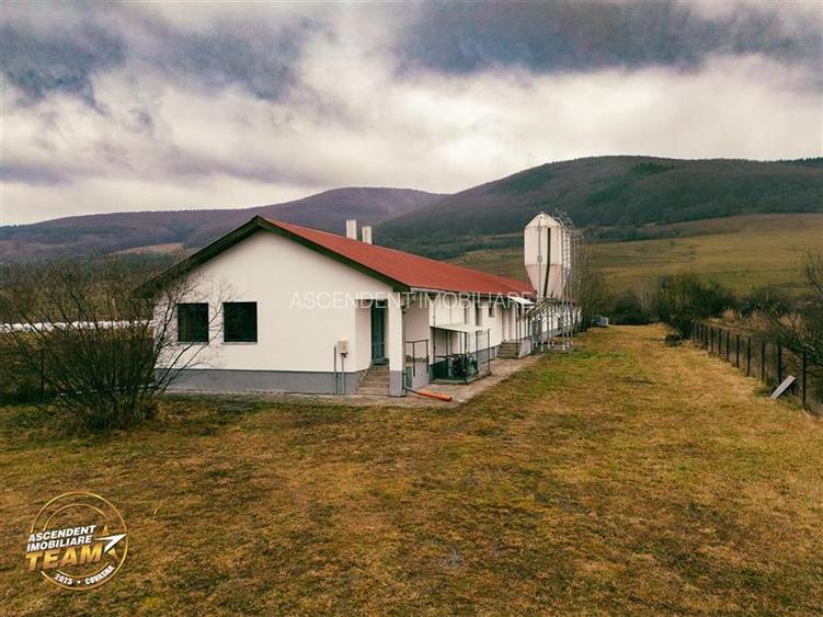 FILM! Ferma de iepuri,Malnas,Covasna: domeniu:industrial/comercial,asset UE - 38