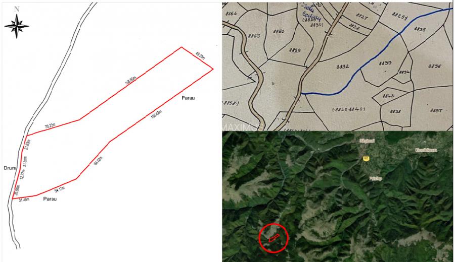 Teren Extravilan de Vânzare în Păltiniș - Oportunitate Excepțională Investiții! - 7