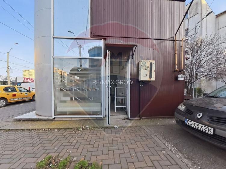 Cladire individuala 243 mp de inchiriat pe strada Mioritei - 17