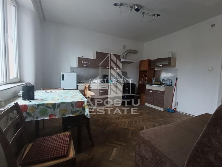 Casa individuala + garaj si anexa, oportunitate investitie, Sagului! - 10