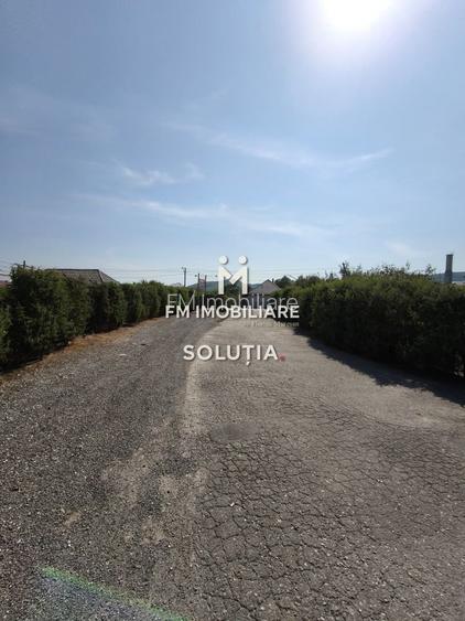 Complex industrial  cu teren 18,672 mp Târgu Lăpuș - 8