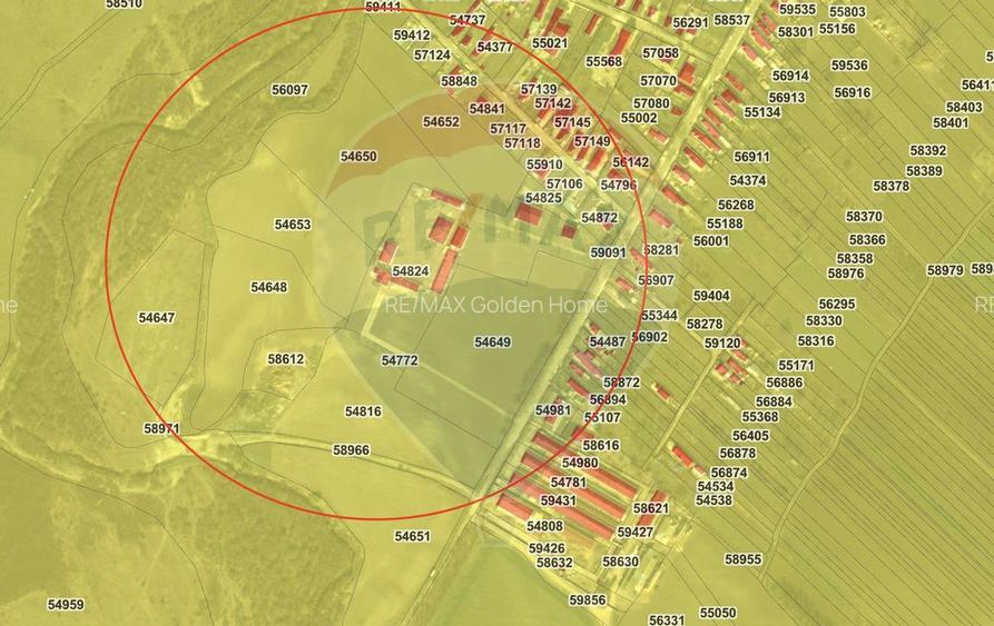 Teren 500 h plus 1000h arenda Vrancea - 9