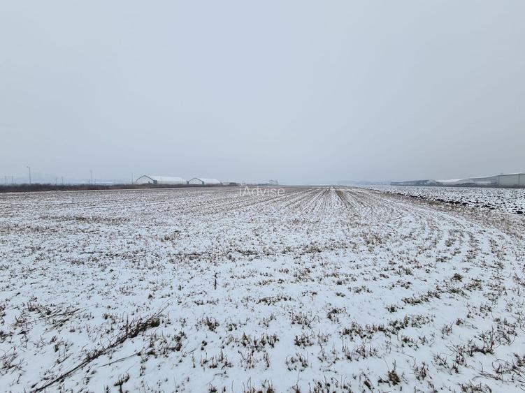 Teren industrial de vanzare in Stupini - 7