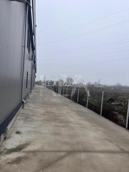 Hala de inchiriat in Domnesti / Centura - 2