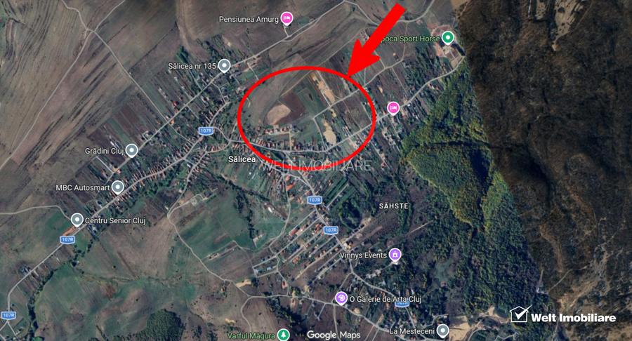 1500 mp front de 17,5 metrii - Teren cu potential excelent in Salicea - 3