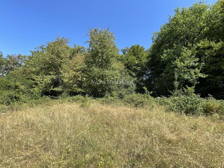 Teren Extravilan în mijlocul naturii. - 20