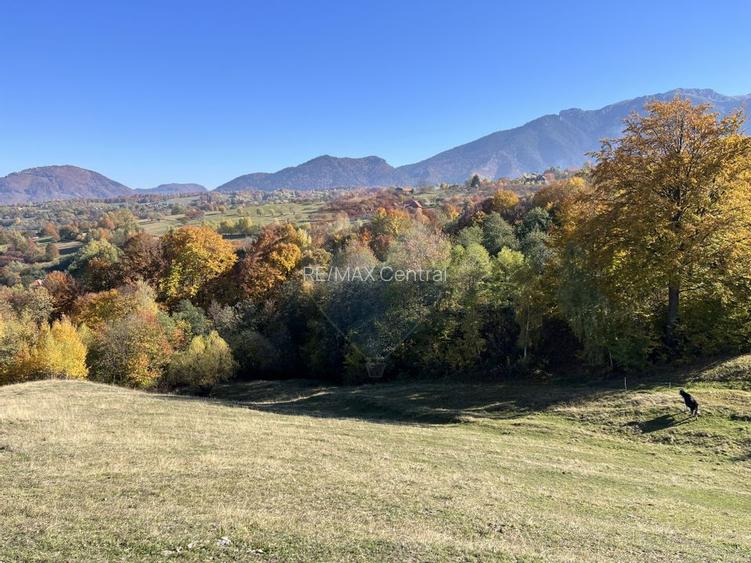 Teren 3,500mp Bran / Strada Bradul Inalt - 9