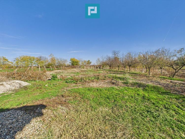 Proprietate impresionantă în Nădab - 30