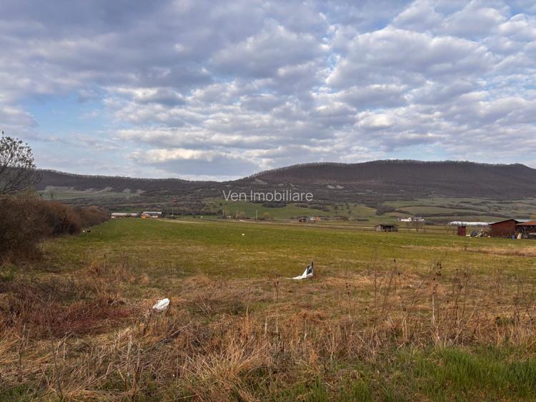 Teren 1.23 ha | DN17 | Șieu-Măgheruș - 3