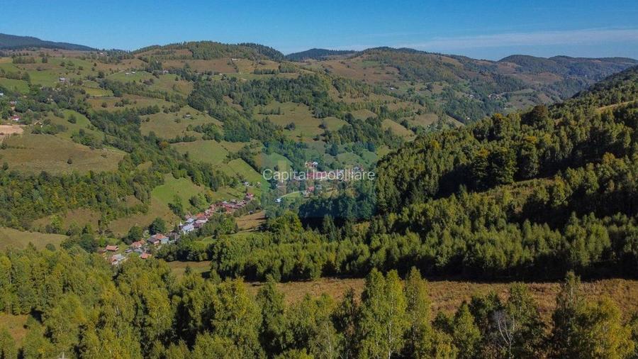 Comision 0% teren intravilan 1000 mp, PUZ, priveliste, Baisoara - 9