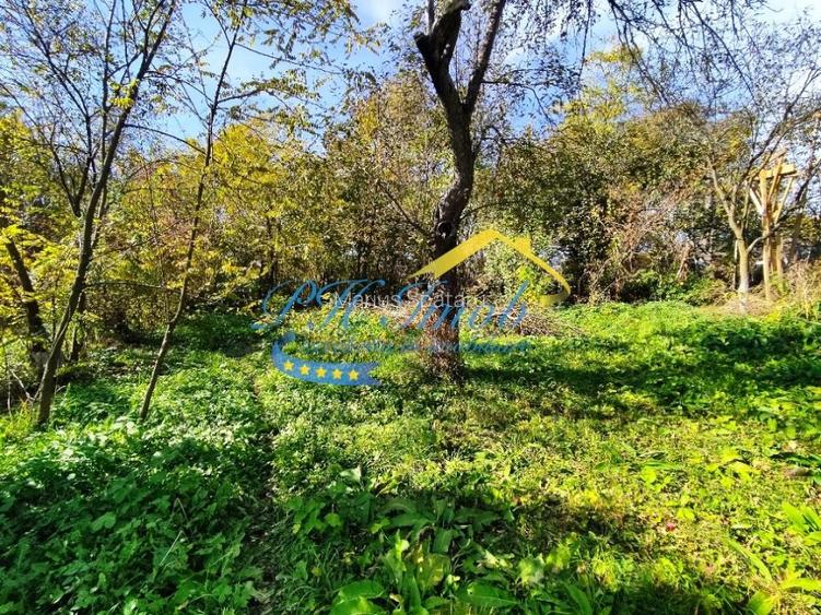 Teren intravilan de vanzare, Provita de Jos - 6