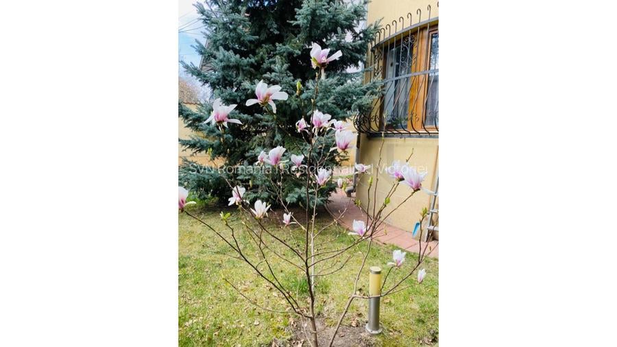 REV2003095 Vila l Bucurestii Noi l Langa Parc Bazilescu - 3