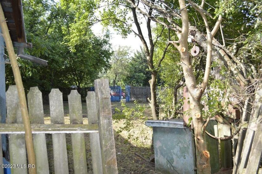 Suseni - Teren intravilan cu casa batraneasca, plan, suprafata 4700 mp! - 13