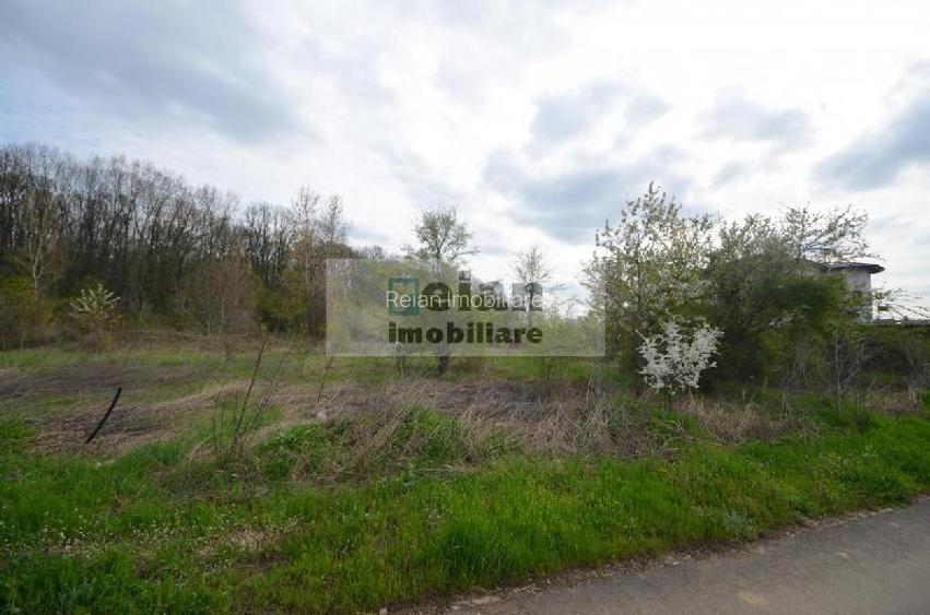 Snagov Crizantemelor Teren 3200mp, d 72ml, gaz, curent, asfalt, padure - 4