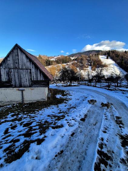 Teren intravilan Simon/Bran, 4318 mp , casuta intabulata, utilitati - 4