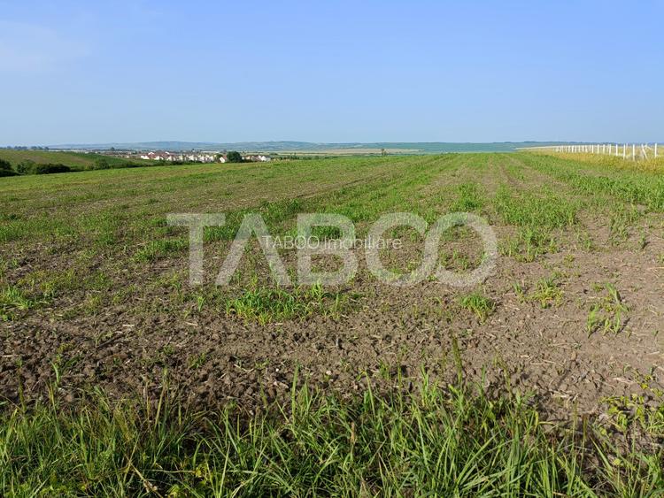 Teren 5000 mp in apropiere de case in Sura Mica - pretabil investitie - 3