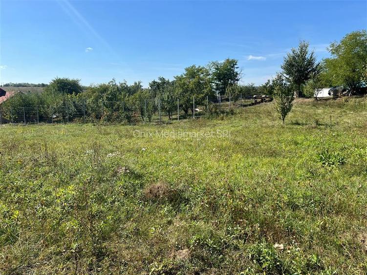 Teren intravilan 2.075 mp, construibil, comuna Drajna, Prahova - 4