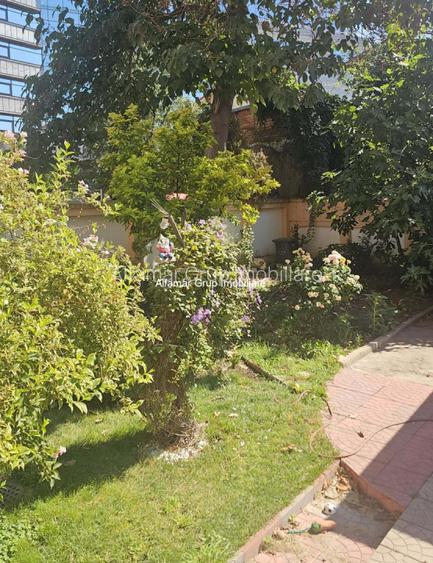 Vila 9 camere  6 locuri parcare, Cotroceni- Parcul Operei - 35